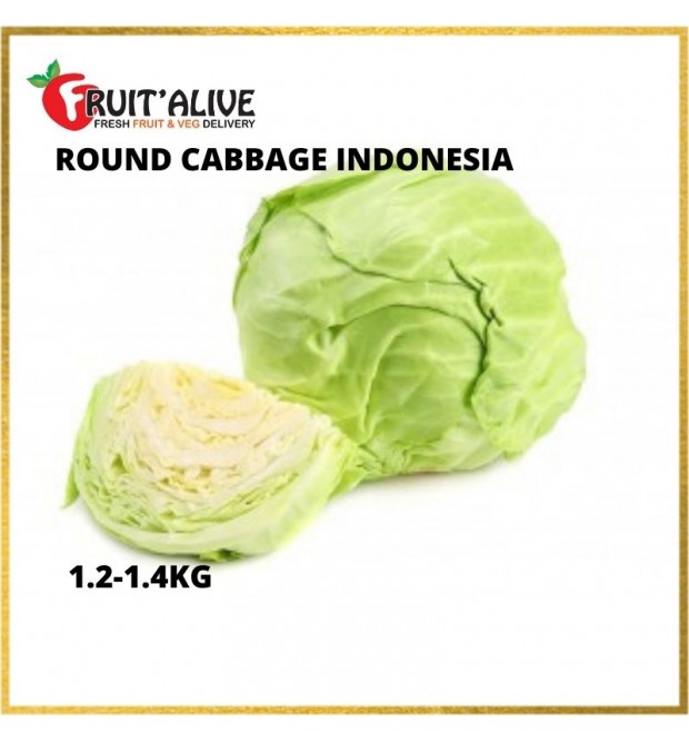 ROUND CABBAGE INDONESIA (1.2-1.4KG)