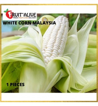 CAMERON HIGHLAND WHITE CORN MALAYSIA