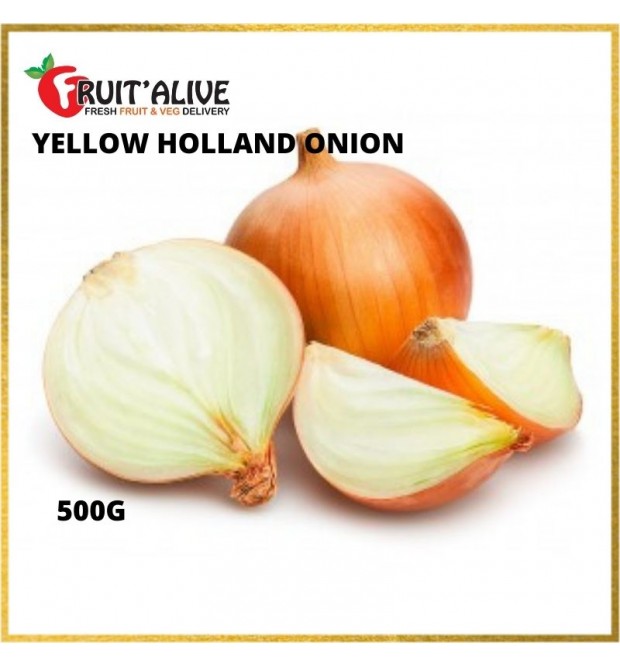 YELLOW HOLLAND ONION (500G)